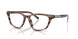 2036 - Brown