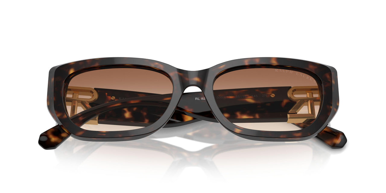 500313 - Brown - Brown Gradient