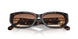 500313 - Brown - Brown Gradient