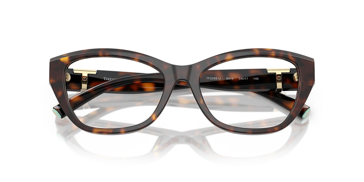 8015 - Tortoise