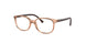 3899 - Brown