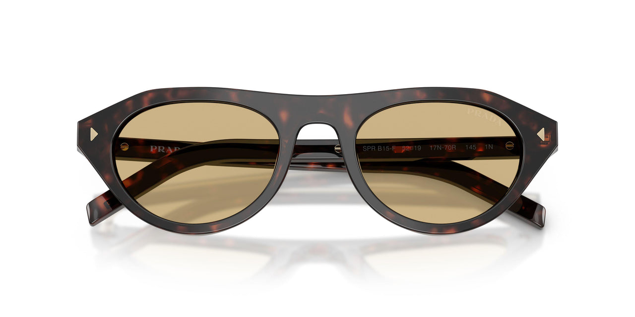 17N70R - Tortoise - Light Brown