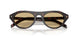 17N70R - Tortoise - Light Brown
