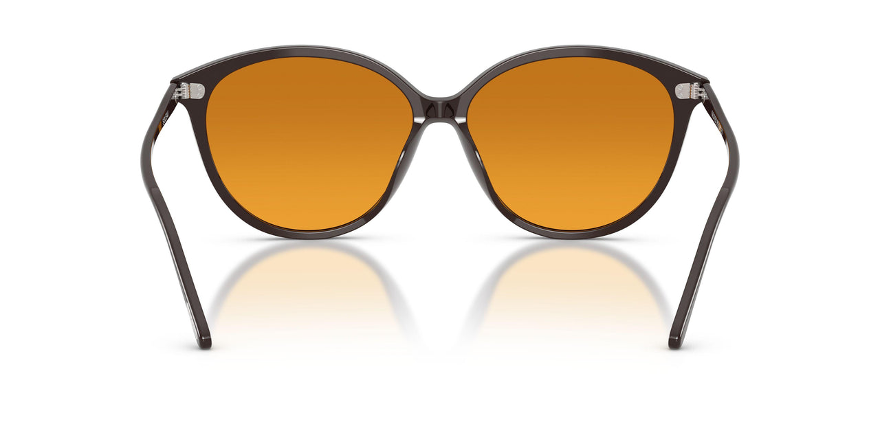 177278 - Brown - Cognac Gradient