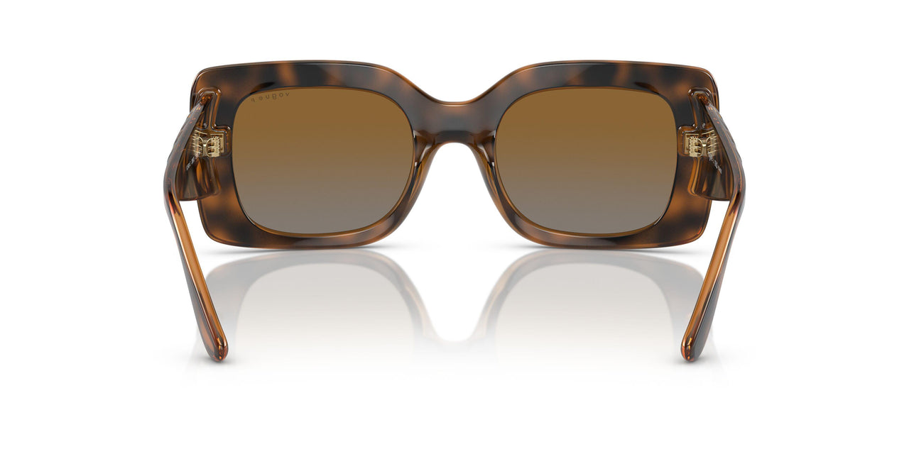 2386T5 - Havana - Polar Grey Gradient Brown