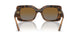 2386T5 - Havana - Polar Grey Gradient Brown