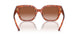 577413 - Tortoise - Brown Gradient
