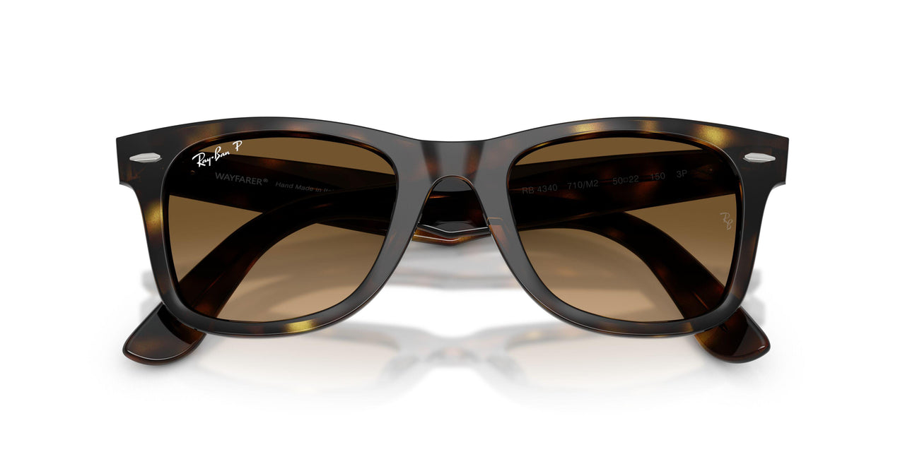 710/M2 - Tortoise - Polarized Brown Gradient