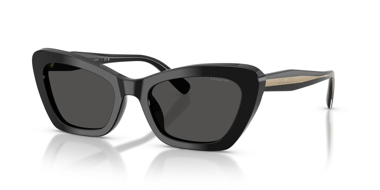500287 - Black - Grey Solid