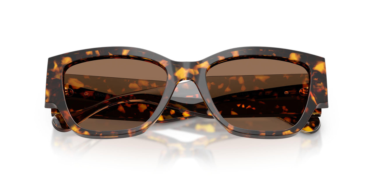 551473 - Tortoise - Dark Brown