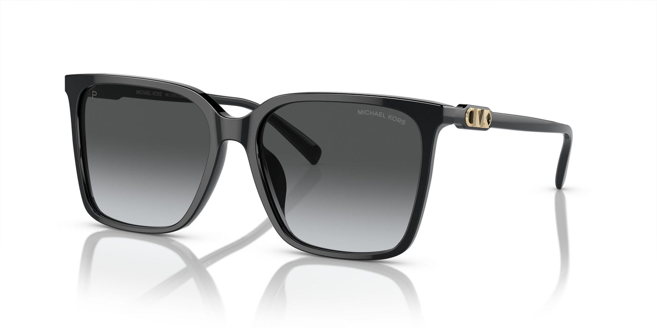 3005T3 - Black - Grey Gradient Polar