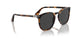 110248 - Tortoise - Polar Black