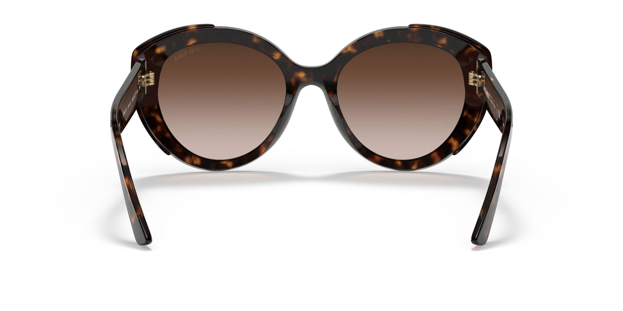 2AU6S1 - Havana - Brown Gradient