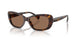 500313 - Tortoise - Brown