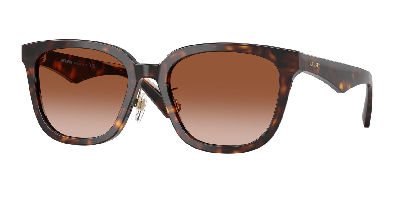 Burberry 4446D Sunglasses