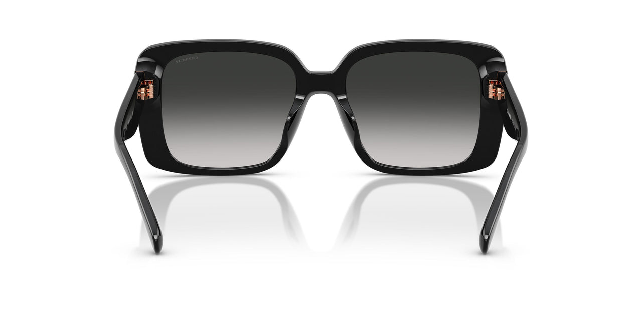 50023C - Black - Grey Gradient