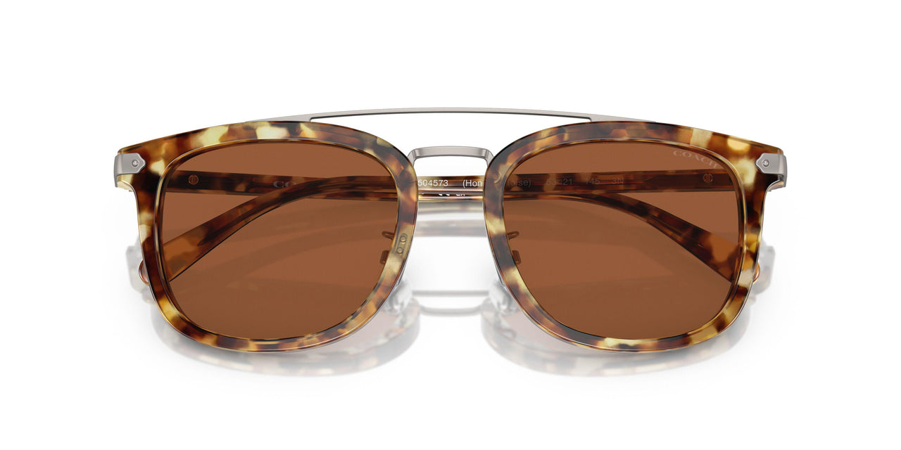 504573 - Tortoise - Brown Solid