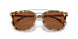 504573 - Tortoise - Brown Solid