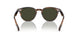 1724P1 - Brown - G-15 Polarized