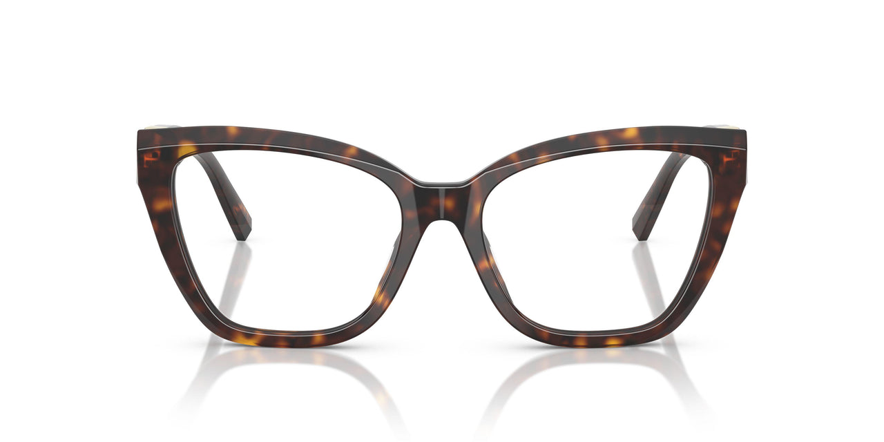 8015 - Tortoise