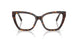 8015 - Tortoise