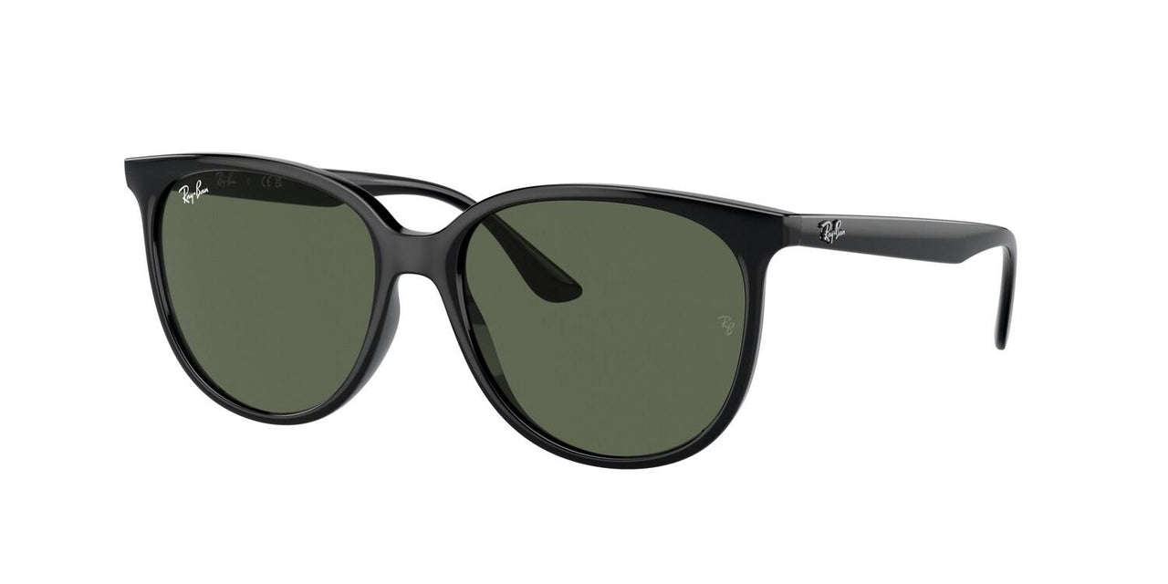 Ray-Ban 4378 Sunglasses