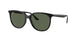 Ray-Ban 4378 Sunglasses