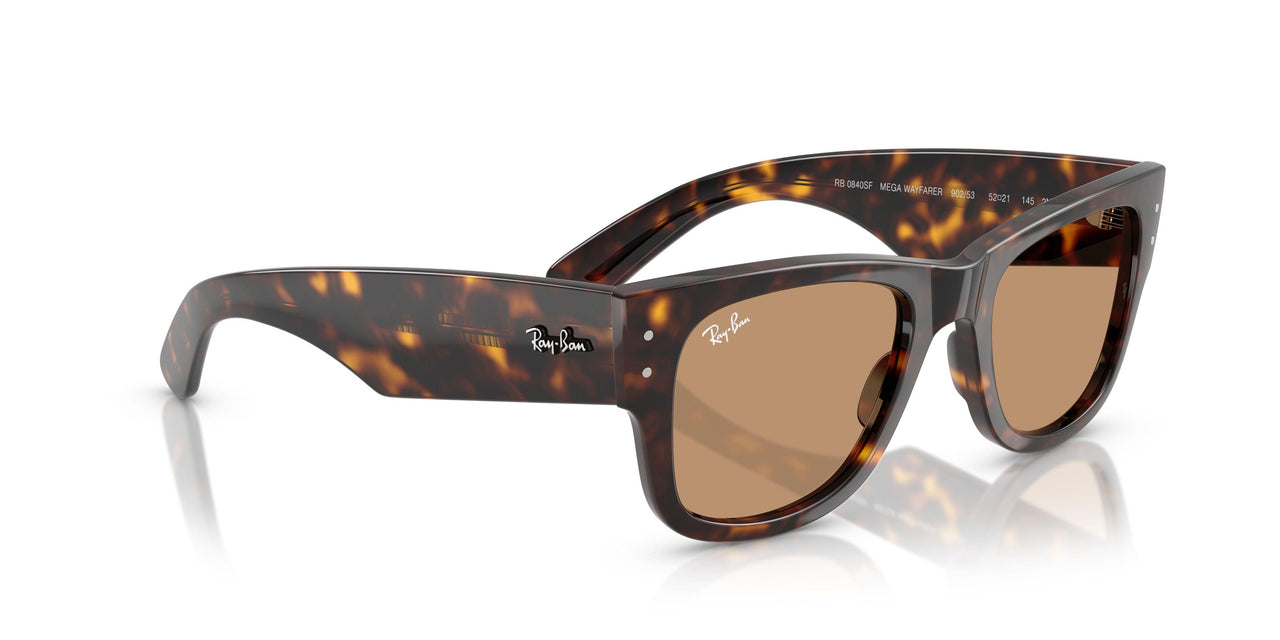 902/53 - Tortoise - Brown
