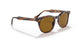 954/33 - Havana - Brown