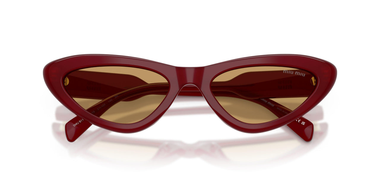 21I10Y - Violet - Brown