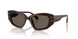 4007/3 - Brown - Chocolate Solid