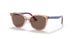 286473 - Pink - Dark Brown