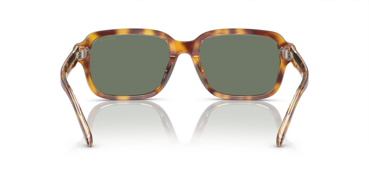 57563H - Brown - Green Solid