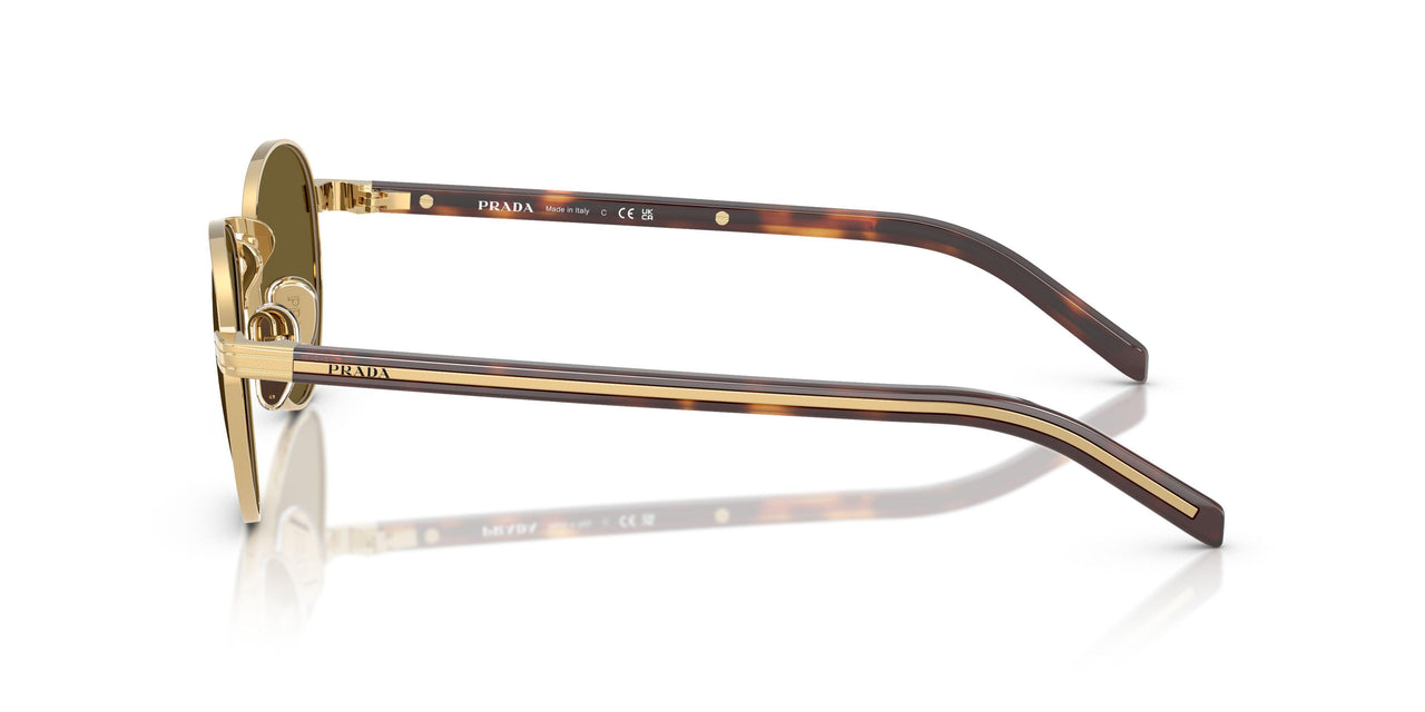 5AK09Z - Gold - Dark Brown