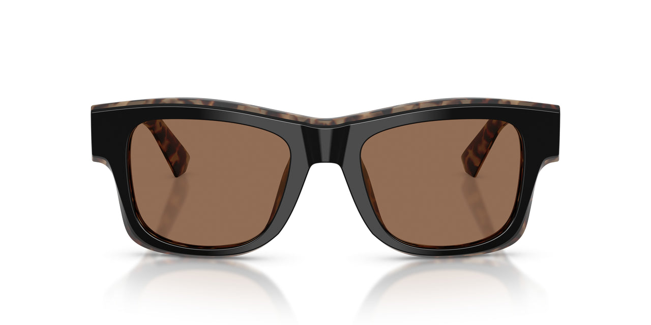 341773 - Black - Dark Brown
