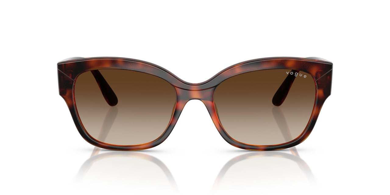 W65613 - Brown - Brown Gradient