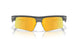 953403 - Grey - Prizm 24k Polarized