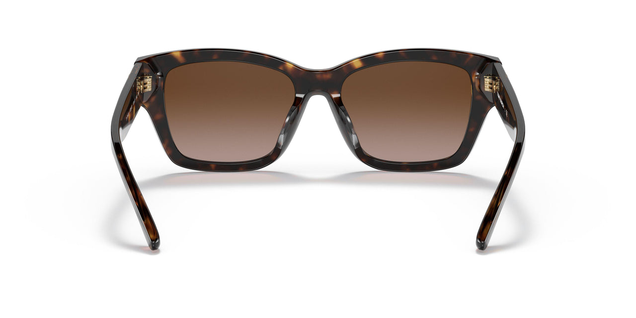172813 - Havana - Brown Gradient