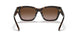 172813 - Havana - Brown Gradient