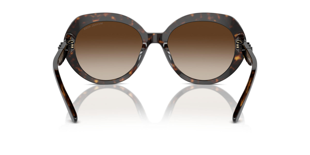 300613 - Tortoise - Brown Gradient
