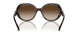 300613 - Tortoise - Brown Gradient