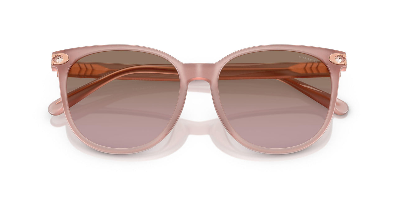 583914 - Pink - Brown Rose Gradient