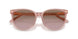 583914 - Pink - Brown Rose Gradient