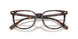 5120 - Tortoise
