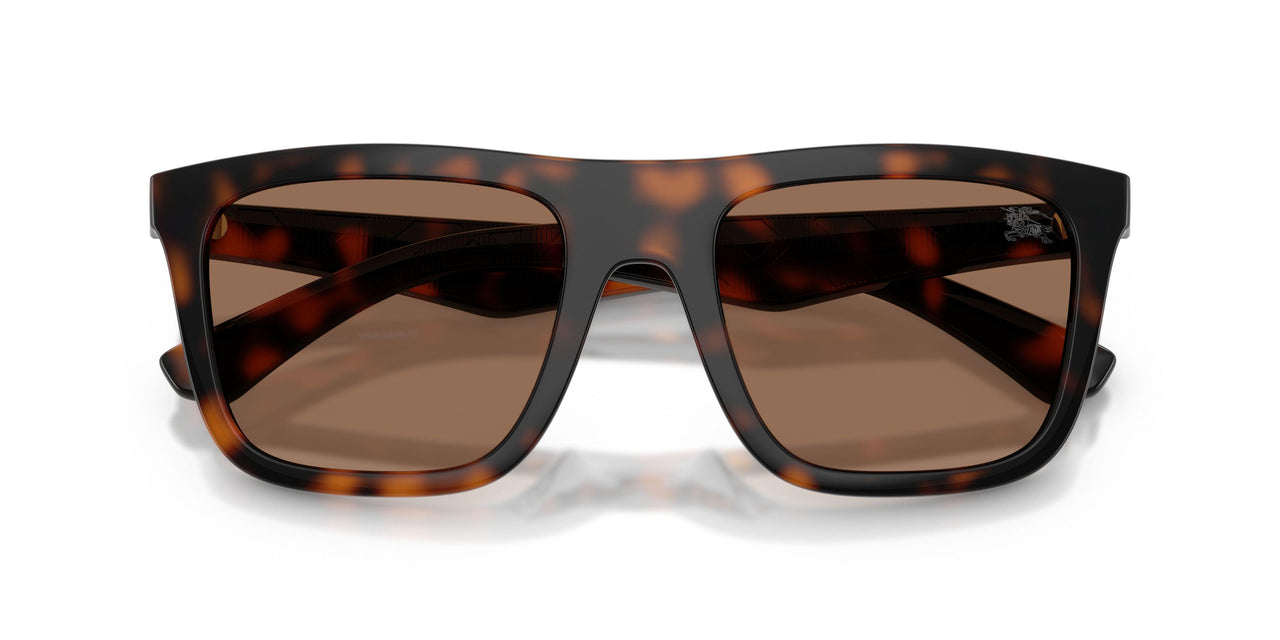 300273 - Brown - Dark Brown