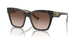 321773 - Tortoise - Brown Gradient