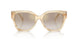 61766E - Brown - Brown Gradient Mirror Gold