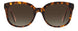 0086-HA - HAVANA - Brown Gradient