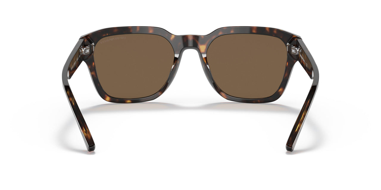 587973 - Havana - Dark Brown