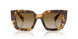 14L20U - Tortoise - Brown Gradient